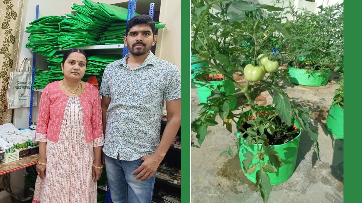 How a Hyderabad Couple Built a ₹50 Lakh Organic Seed Business While Conserving Native Crops