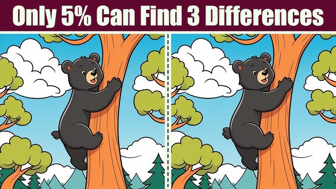 Only 5% Can Find the 3 Differences: Can You Spot Them in This Bear Puzzle?
