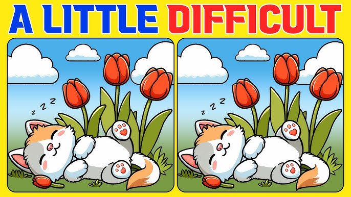 A Little Difficult: Can You Spot the Differences in This Cute Kitten Puzzle?