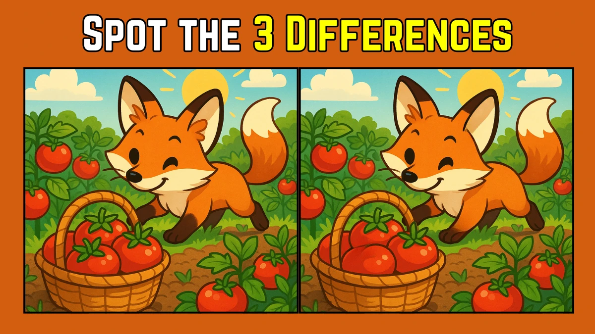 Spot the 3 Differences in the Cute Fox Puzzle – Can You Solve It in 8 Seconds?