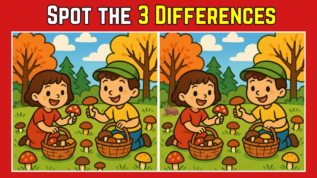 Spot the Differences: Can You Find the 3 Hidden Changes in the Children Collecting Mushrooms Puzzle?