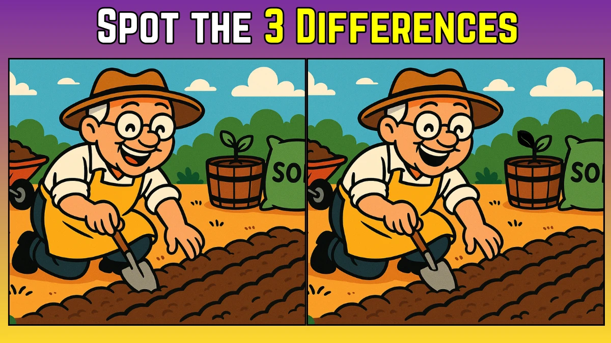 Spot the 3 Differences in the Farmer’s Puzzle – Can You Find Them All in 9 Seconds?