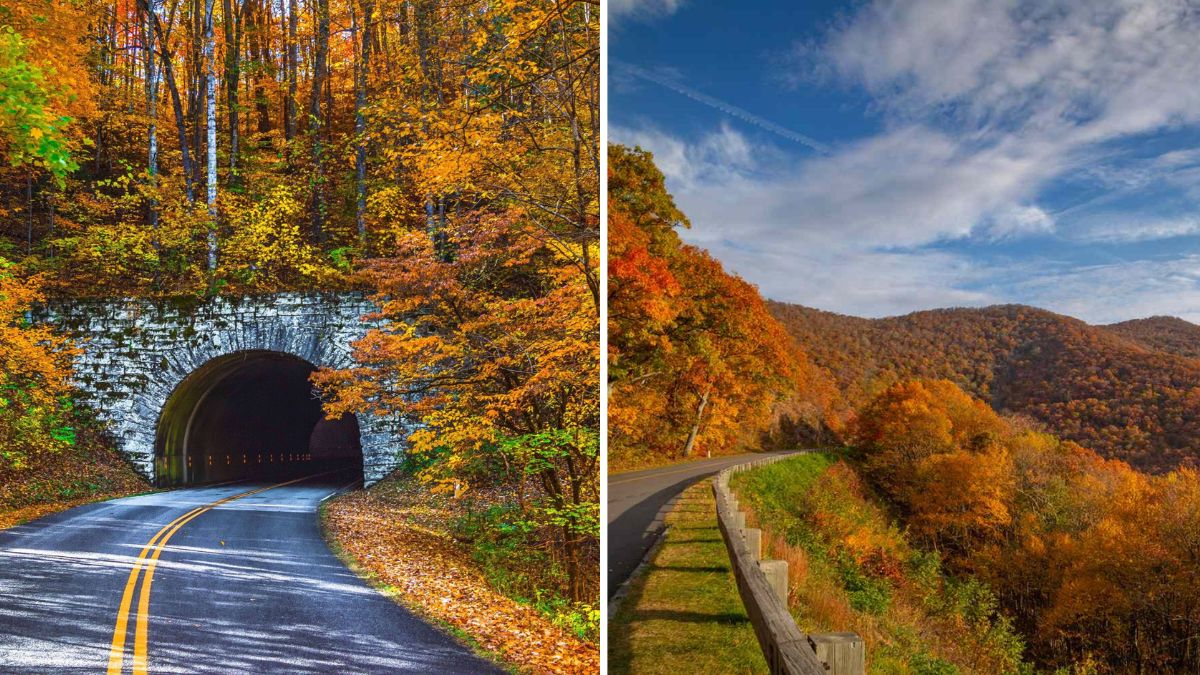 The Most Scenic Drive In North Carolina You’ve Probably Never Heard Of