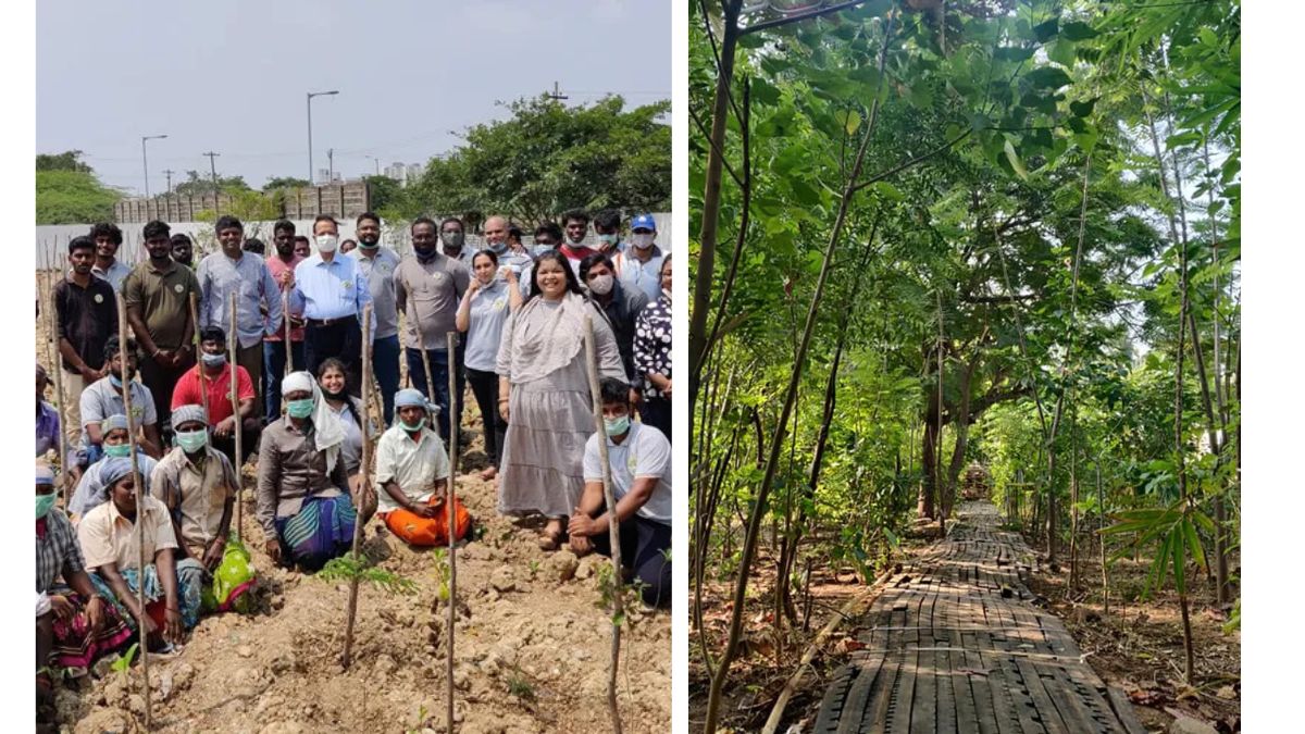 Creating Green Lungs in the City: How Thuvakkam Is Transforming Chennai with Urban Forests