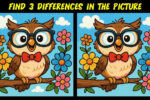 Can You Find the 3 Differences in This Adorable Owl Picture?
