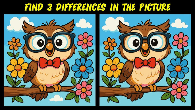 Can You Find the 3 Differences in This Adorable Owl Picture?