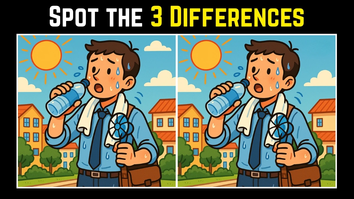 Spot the 3 Differences: Can You Beat the Heat and Find the Hidden Changes in This Summer Puzzle?